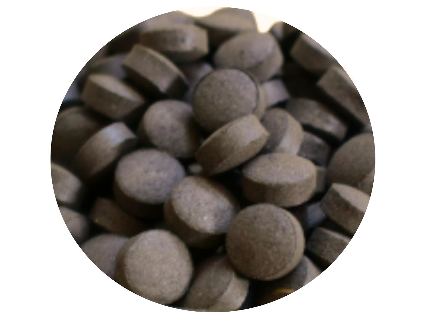Joint Pain Tablet (Orthanix)
