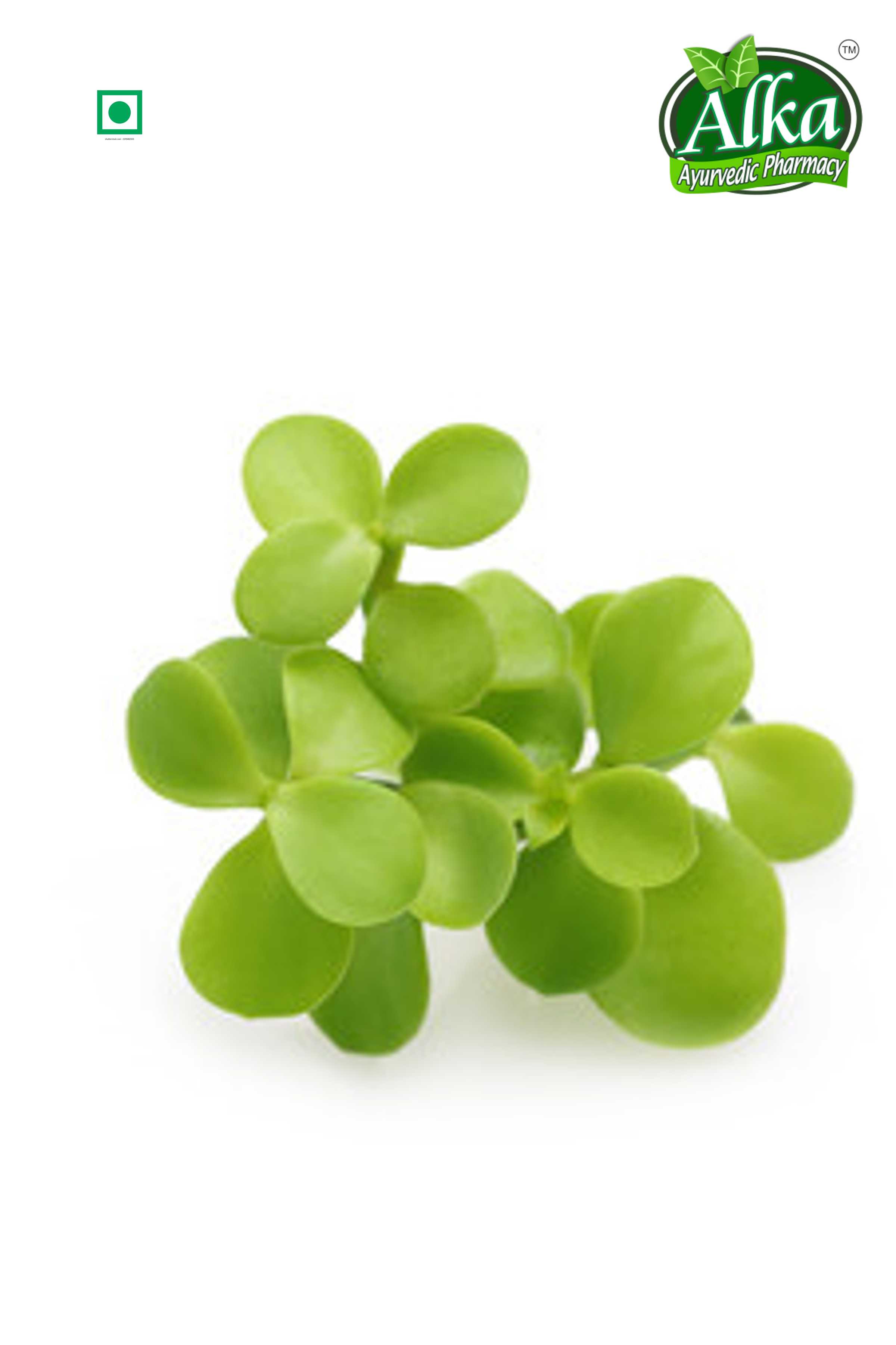 Brahmi Tablet