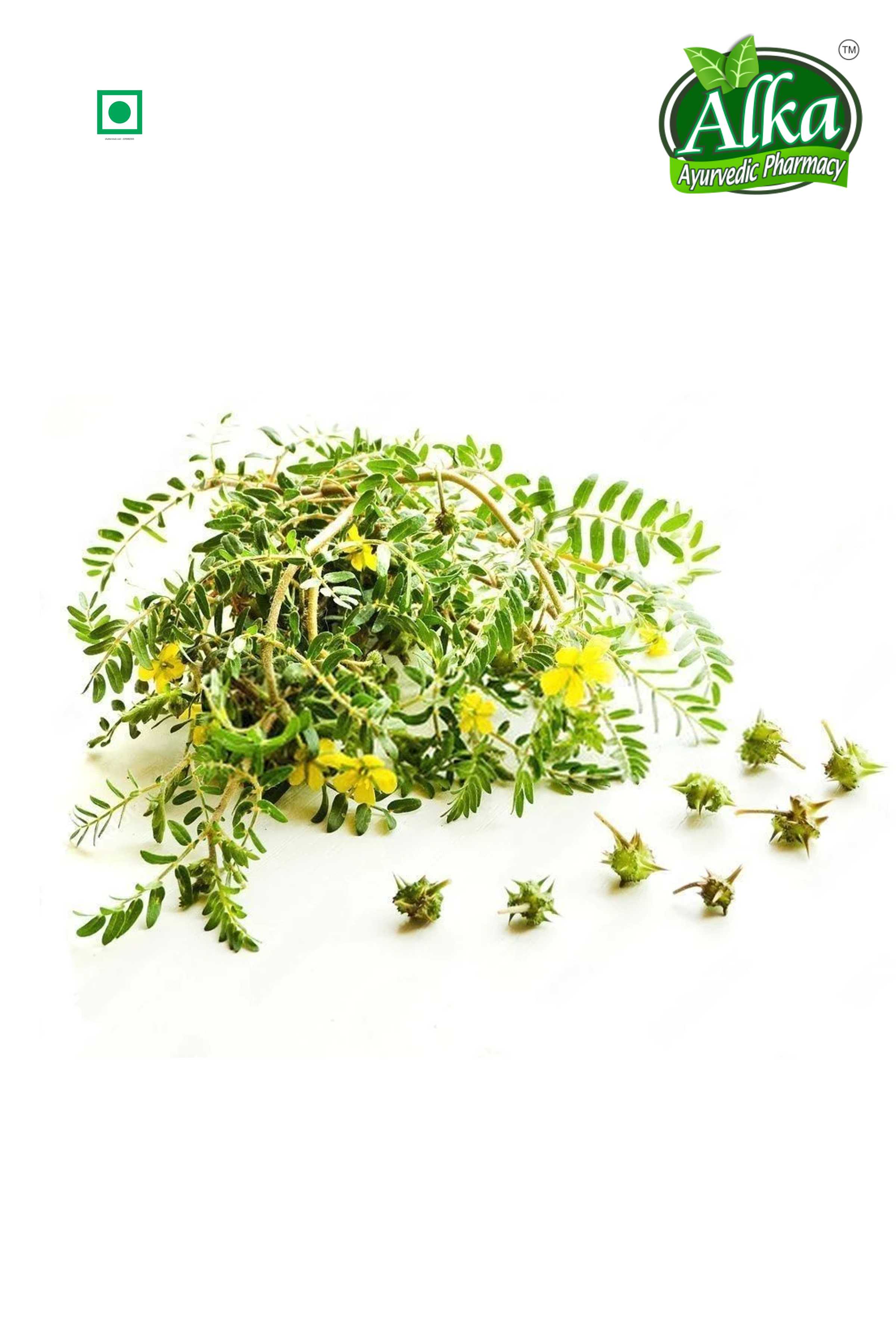 Gokhru Powder (Tribulus terrestris)