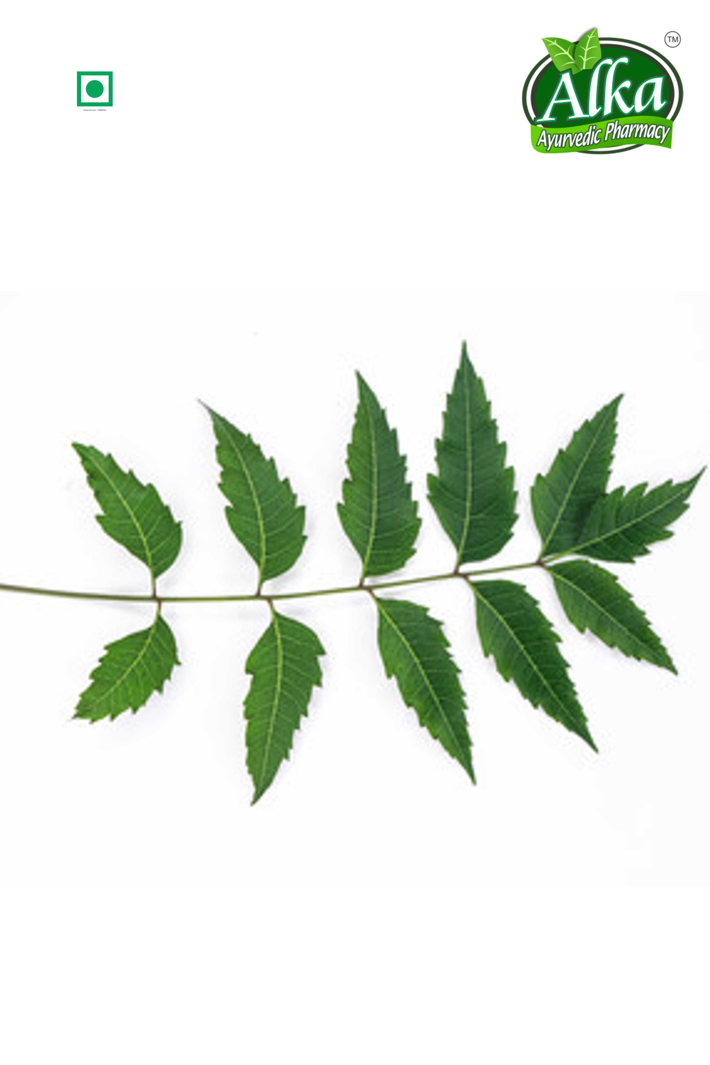 Neem Leaf Powder (Azadirachta indica)