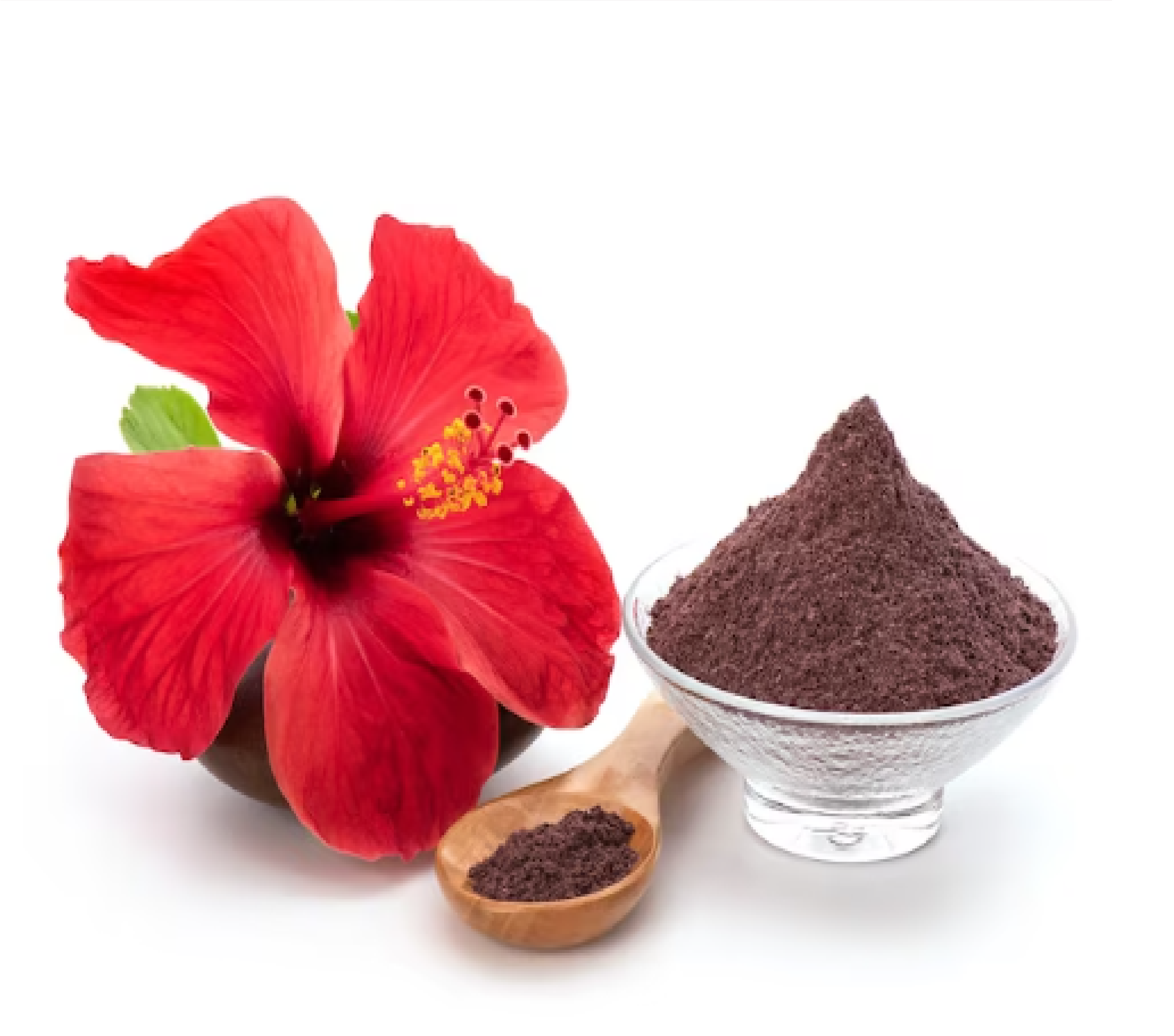 Hibiscus Powder (Hibiscus rosa-sinensis)