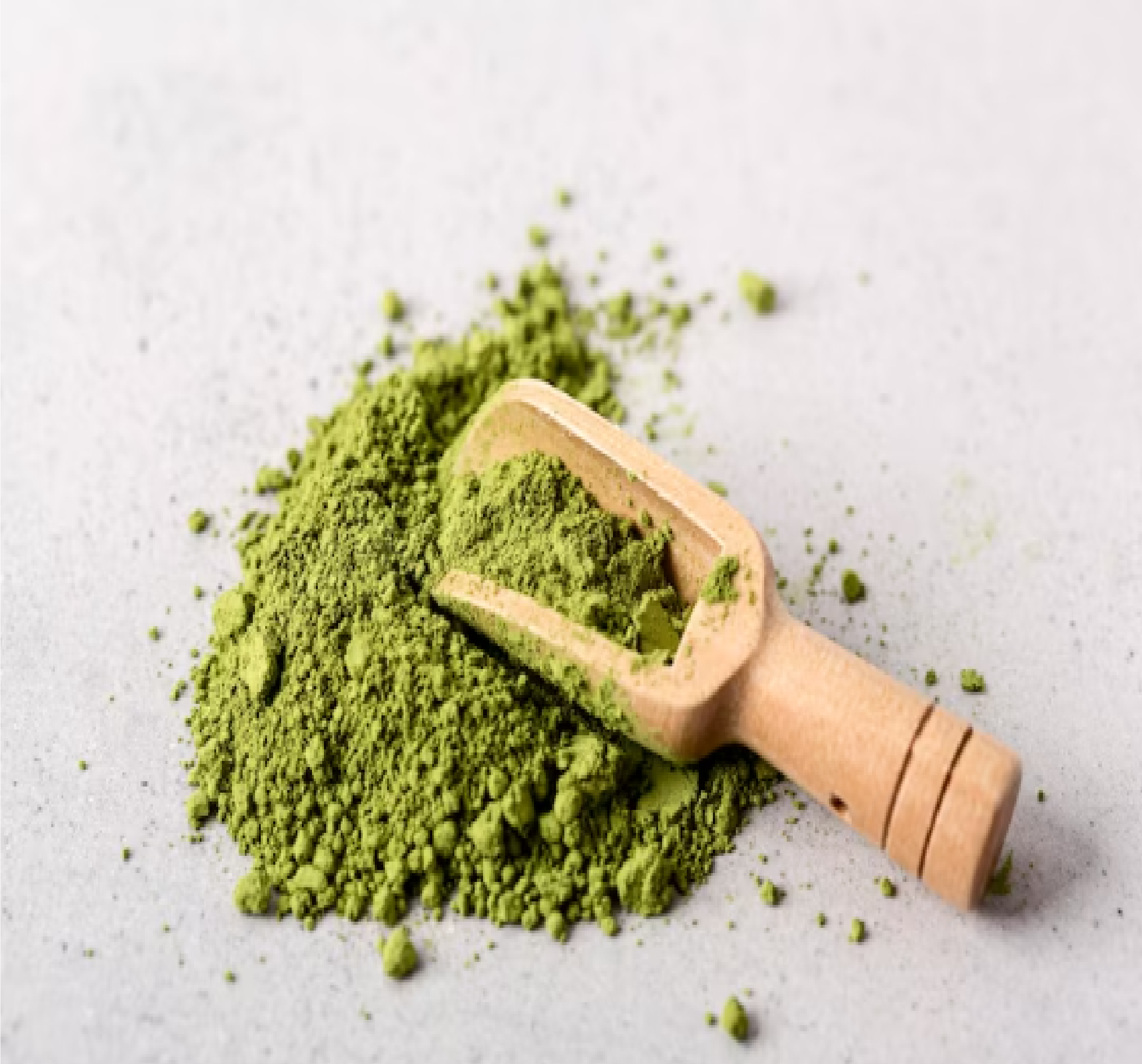 Wheat Grass Powder (Thinopyrum)