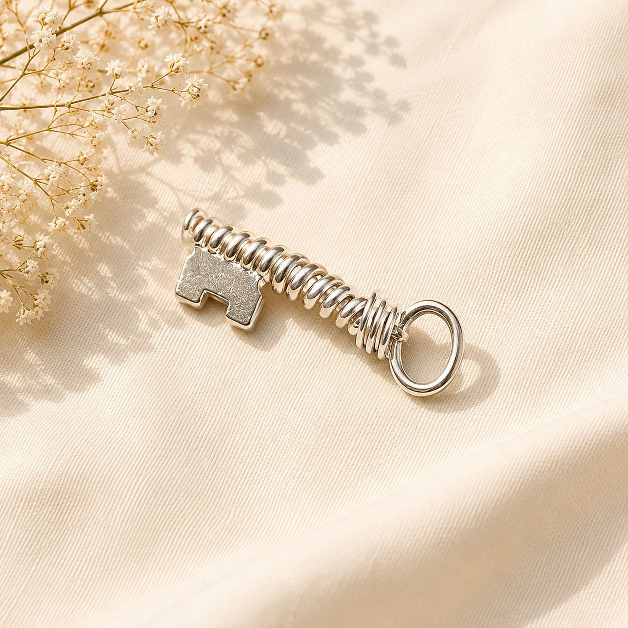 silver key (chhabi)
